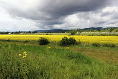 tiahnuce oblaky