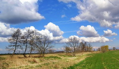 zjarievanie
