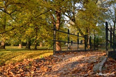 Jesenný park