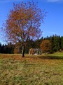 Chatrč