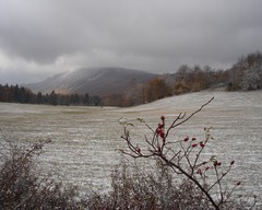 Krajina tesne po zime