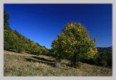 jesenná