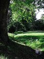 Green Vision