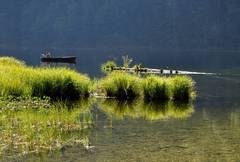 rybár na tauplitzsee