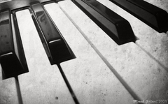 The piano