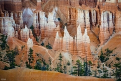 Bryce Canyon v detaile