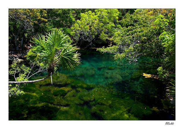 Cenote Xel-Ha