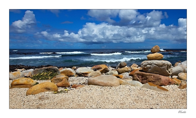 Cape of Good Hope