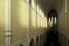 Sedlecká katedrála