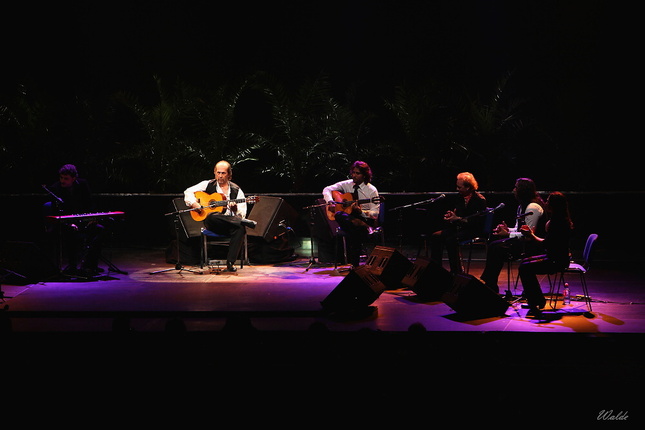 Maestro v Bratislave