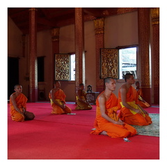 Mladí mnísi 