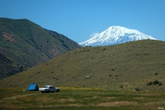 Stan, Volga a Ararat