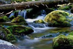 Water dance