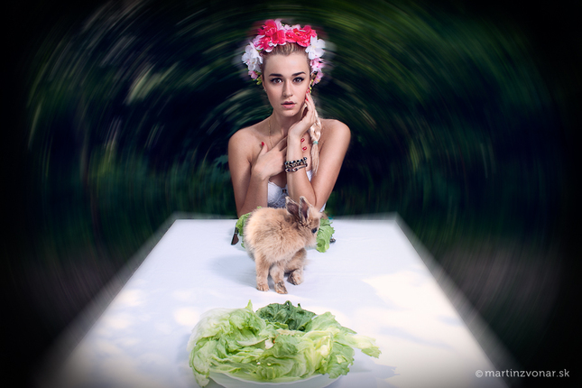 We ♥ rabbits