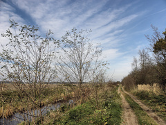 Jesenná cesta I.