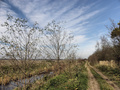 Jesenná cesta I.