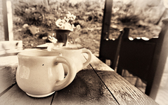 Coffee platform