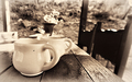 Coffee platform