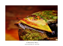 A wishing well