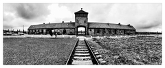 Auschwitz II/2