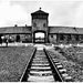 Auschwitz II/2