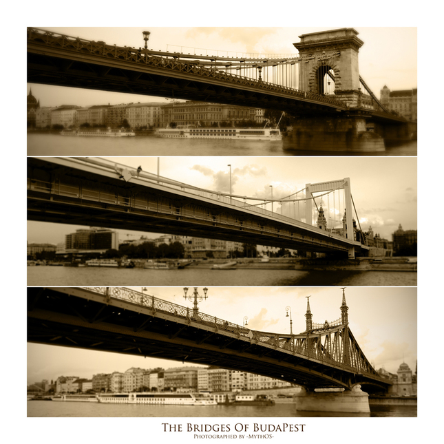 The Bridges Of BudaPest