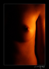 The art of the body - Body and s