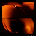 The beauty of the body - Breast