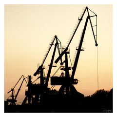 A dock cranes