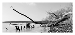 mrtvá krajina