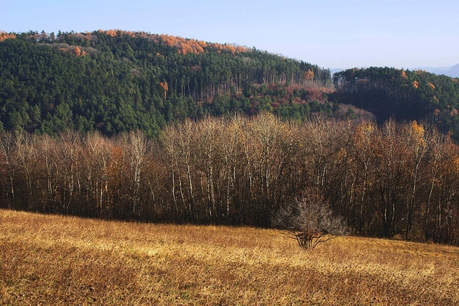 Jeseň pod Vršatcom