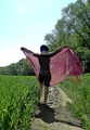 Metamorfosys