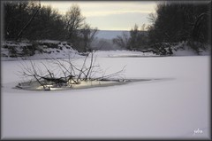 Karloveské rameno