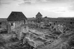 Bzovík