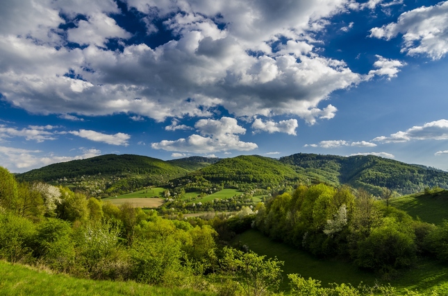 Jarná krajina - Fotografia - Fotogaléria | ePhoto.sk - foto, fotografie ...