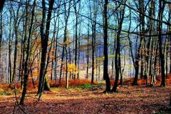 Karpaty 1