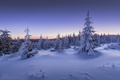 Šumava