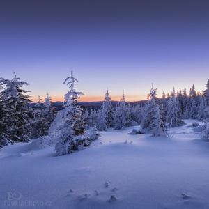 Šumava