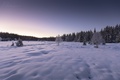 Šumava-okolí Roklanského potoka