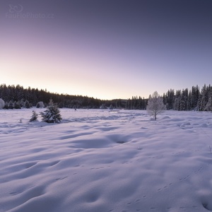 Šumava-okolí Roklanského potoka