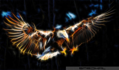 Eagle