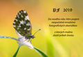 ... PF 2019 ...