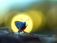 ... na plavbe jeseňou ...