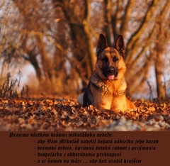 ... mikulášske prianie ...