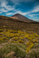 Potulky ostrovom Tenerife