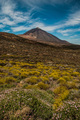 Potulky ostrovom Tenerife