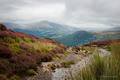 Lake District Colours