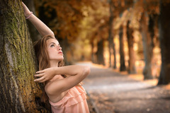 Dream