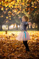 test_web