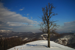 Skalnatá